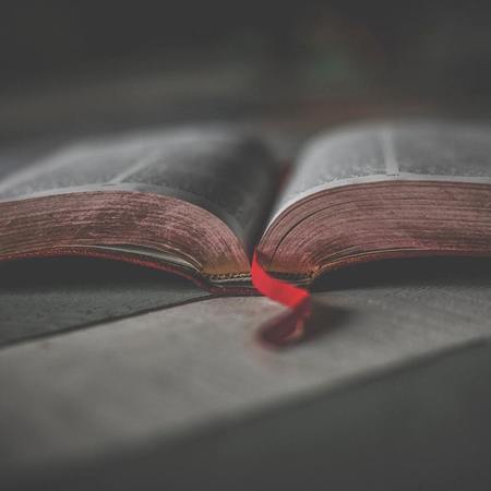bible-biblia-book-1112048-crop-450x450-92ad1